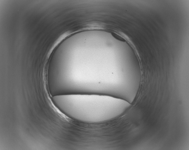 X0000082151243200701191015