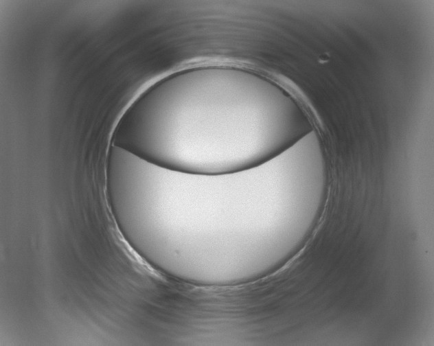 X0000082151244200701191015