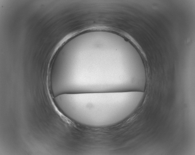 X0000082151245200701191015
