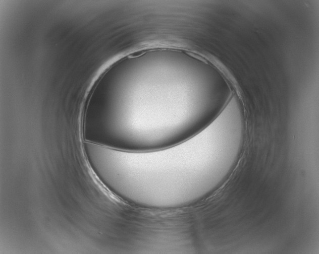 X0000082151246200701191015