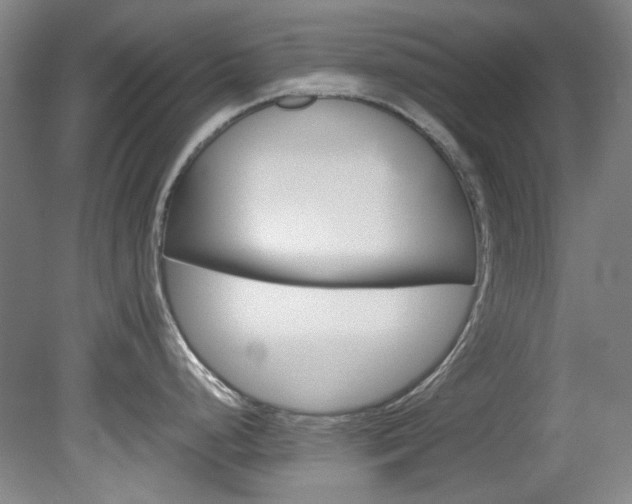 X0000082151248200701191015