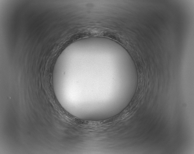 X0000082151249200701191014