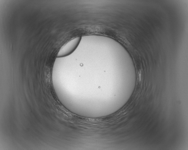 X0000082151251200701191014