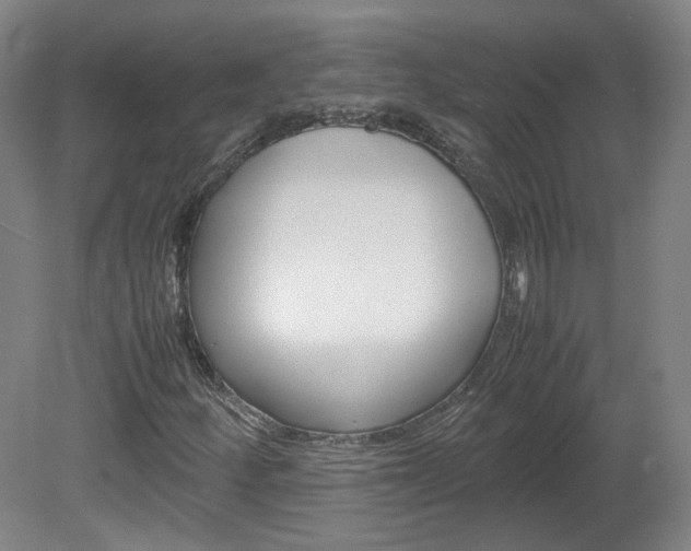 X0000082151252200701191014