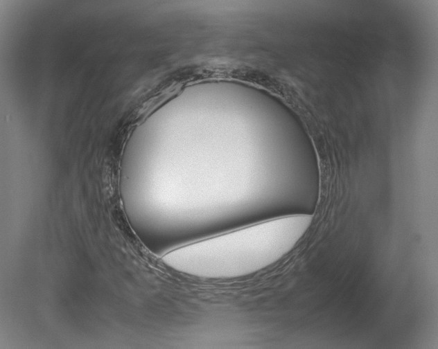 X0000082151253200701191014