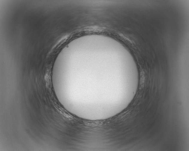X0000082151254200701191014