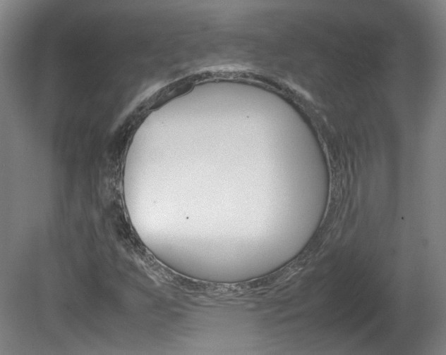 X0000082151255200701191014