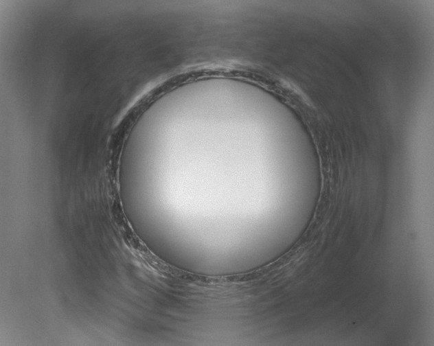 X0000082151256200701191014