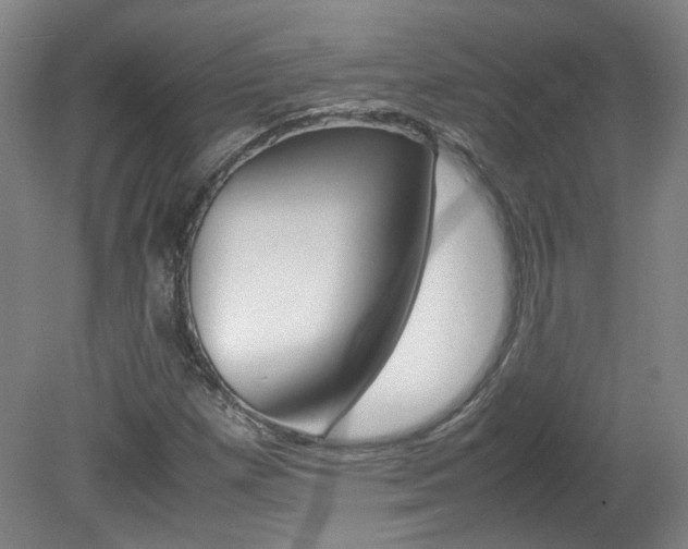 X0000082151257200701191014