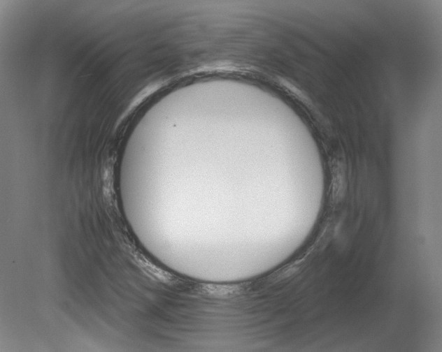 X0000082151258200701191014