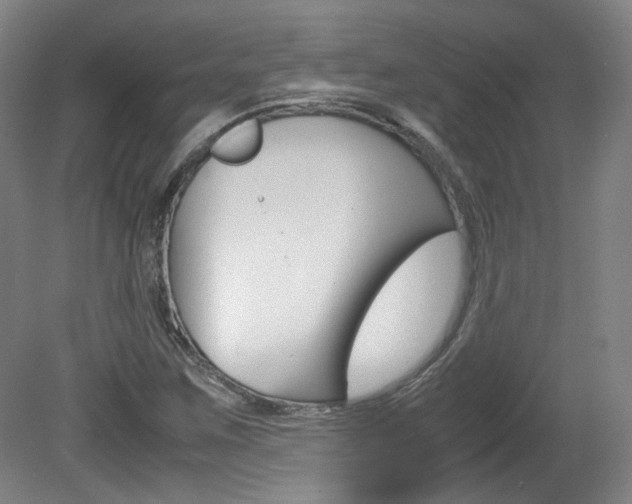 X0000082151259200701191014
