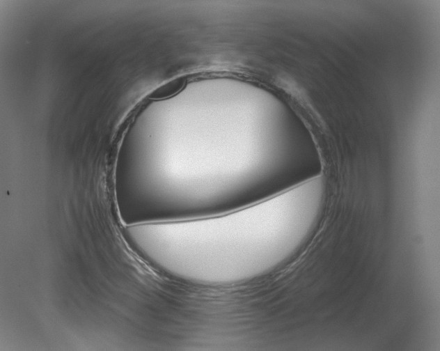 X0000082151260200701191014