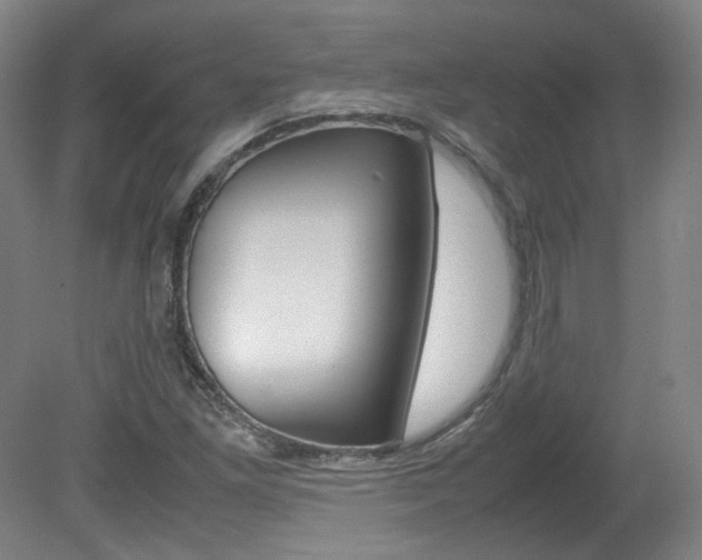 X0000082151261200701191014
