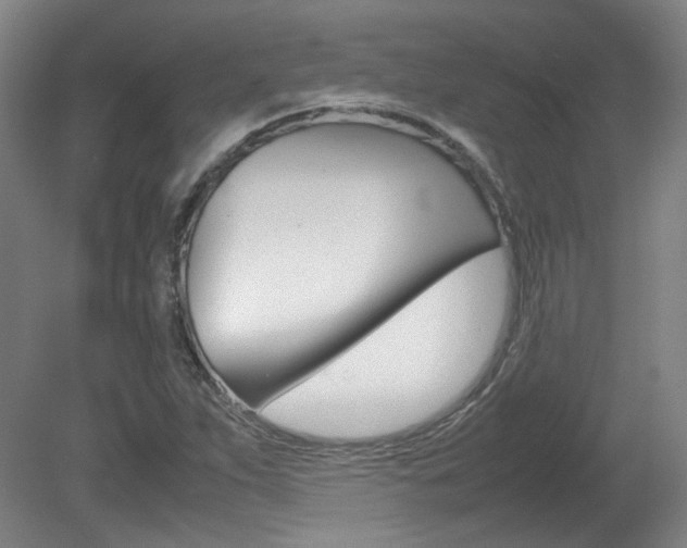 X0000082151263200701191014