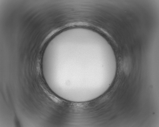 X0000082151266200701191014