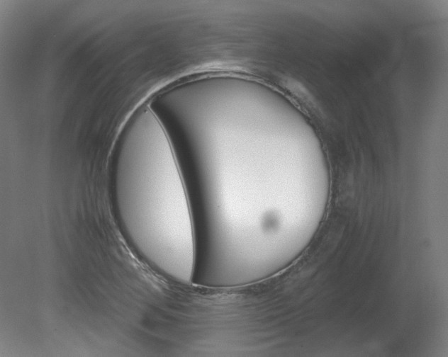 X0000082151268200701191014