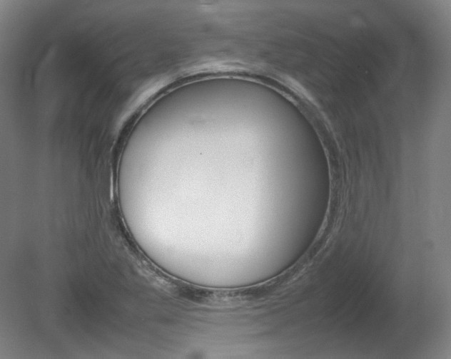X0000082151269200701191014