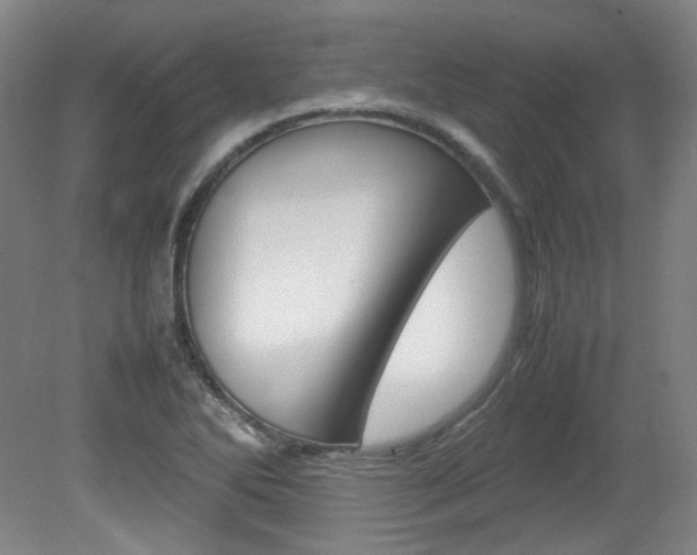 X0000082151270200701191014