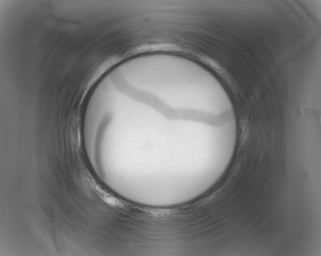 X0000082151274200701191014