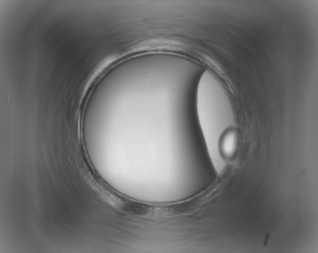 X0000082151275200701191014