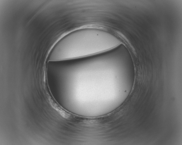 X0000082151276200701191014