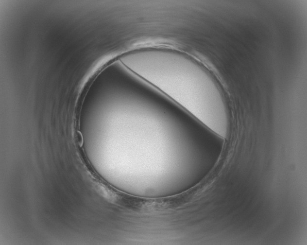 X0000082151277200701191014