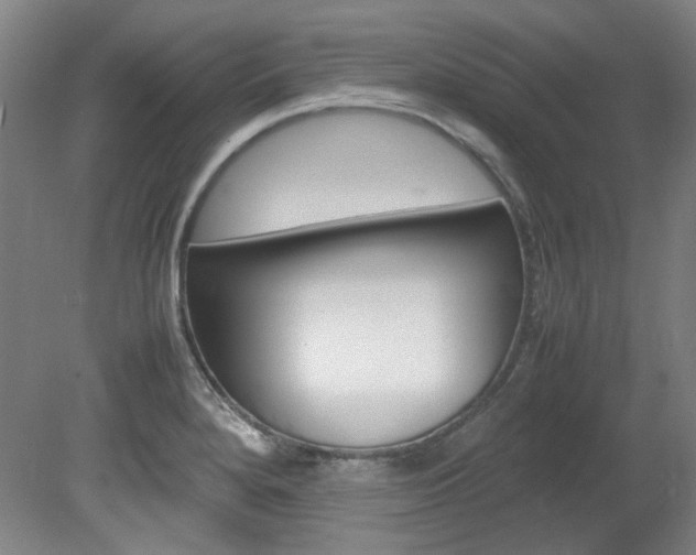 X0000082151280200701191014