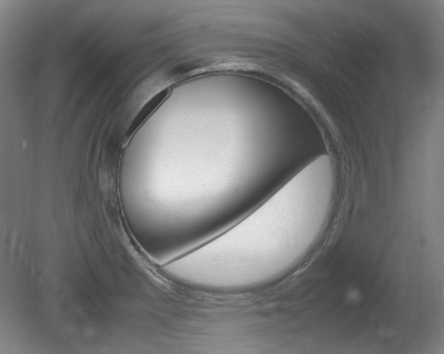 X0000082151281200701191014