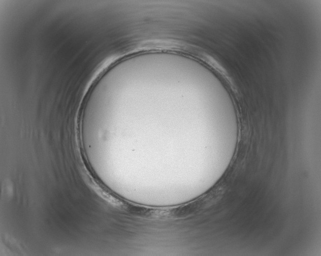 X0000082151283200701191014