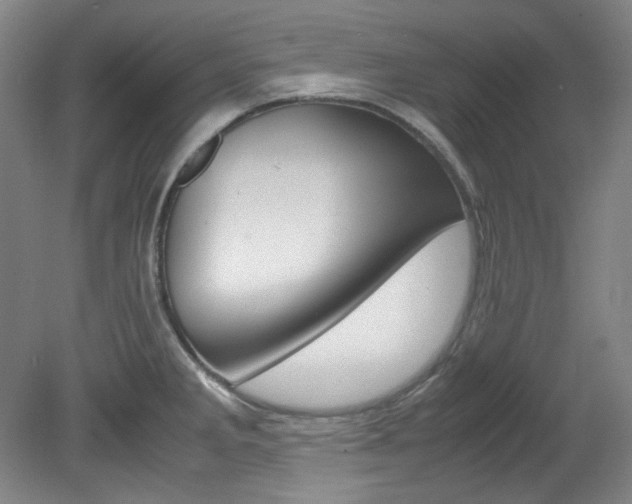X0000082151285200701191014