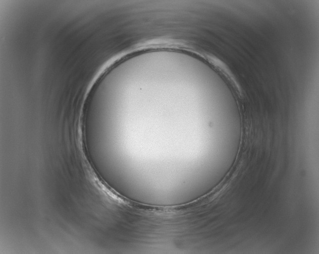X0000082151288200701191014