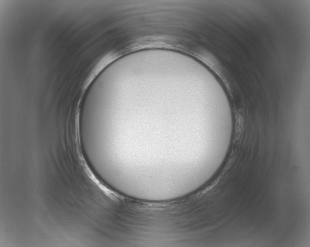 X0000082151290200701191014