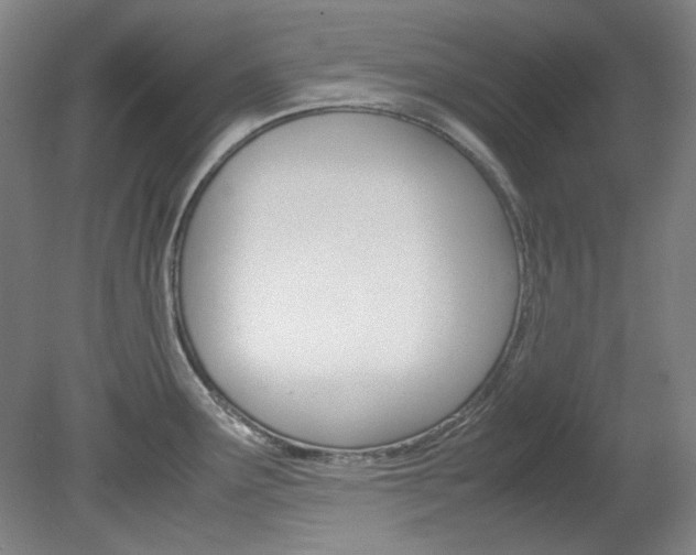 X0000082151291200701191014