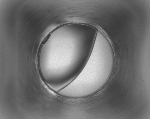 X0000082151293200701191014