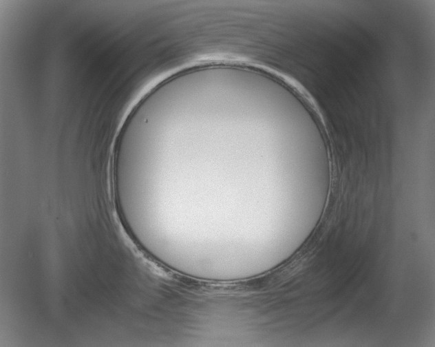 X0000082151295200701191014