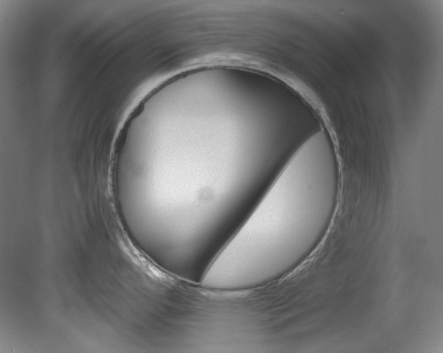 X0000082151296200701191014