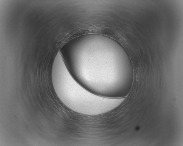 X0000082151298200701191013