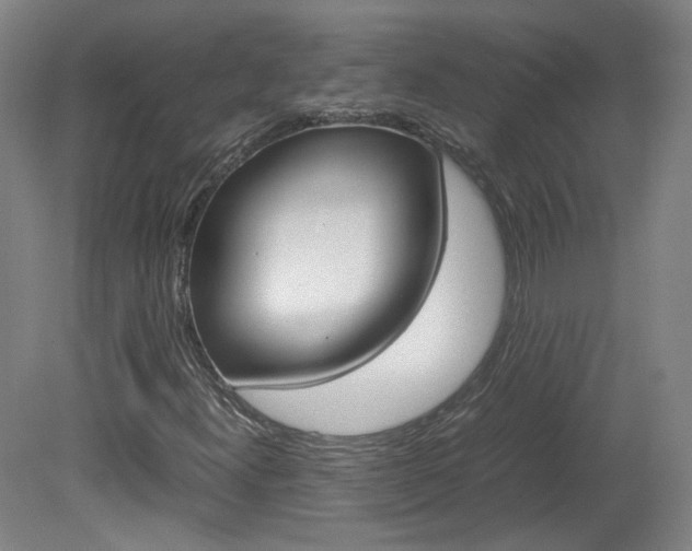 X0000082151300200701191013