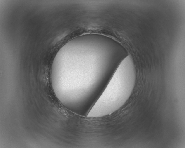 X0000082151301200701191013