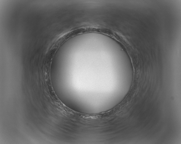 X0000082151303200701191013