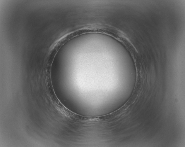 X0000082151304200701191013