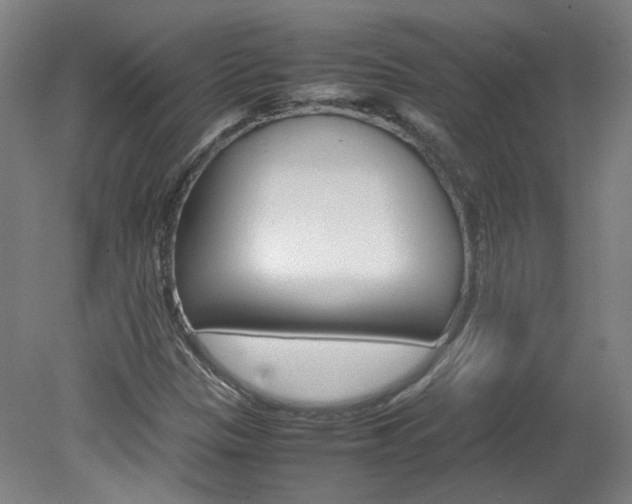 X0000082151305200701191013