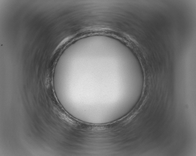 X0000082151306200701191013