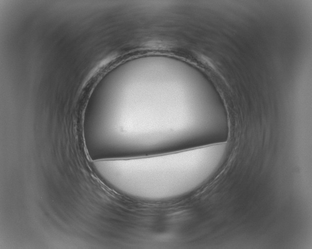 X0000082151307200701191013