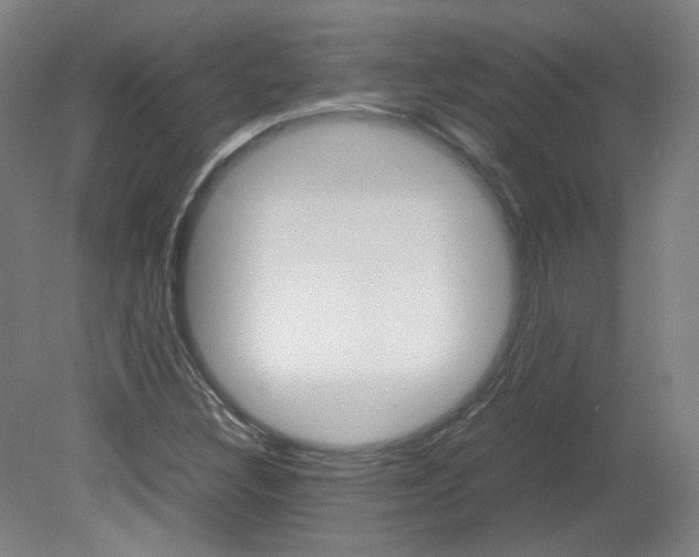 X0000082151308200701191013