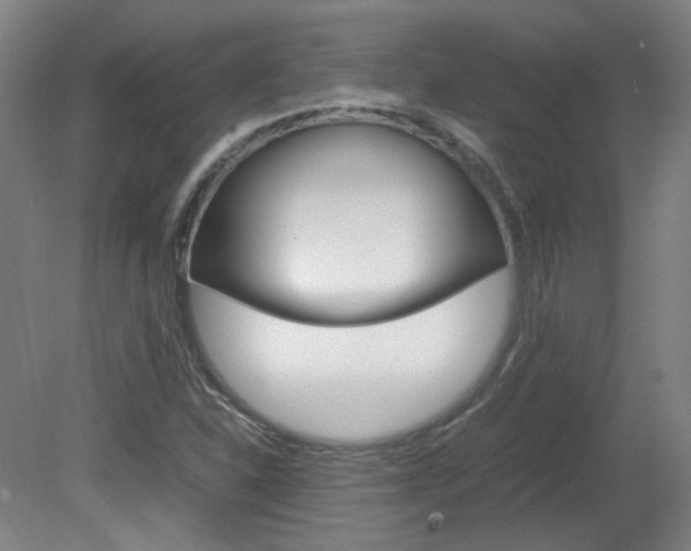 X0000082151310200701191013