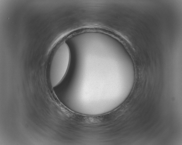 X0000082151311200701191013