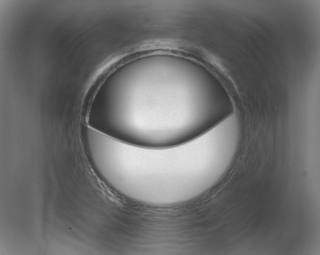 X0000082151312200701191013