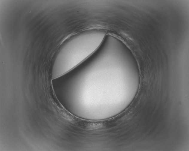 X0000082151313200701191013