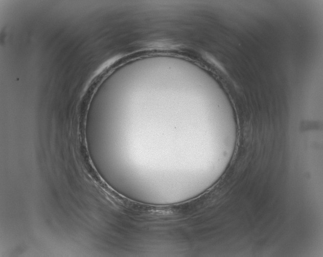 X0000082151315200701191013